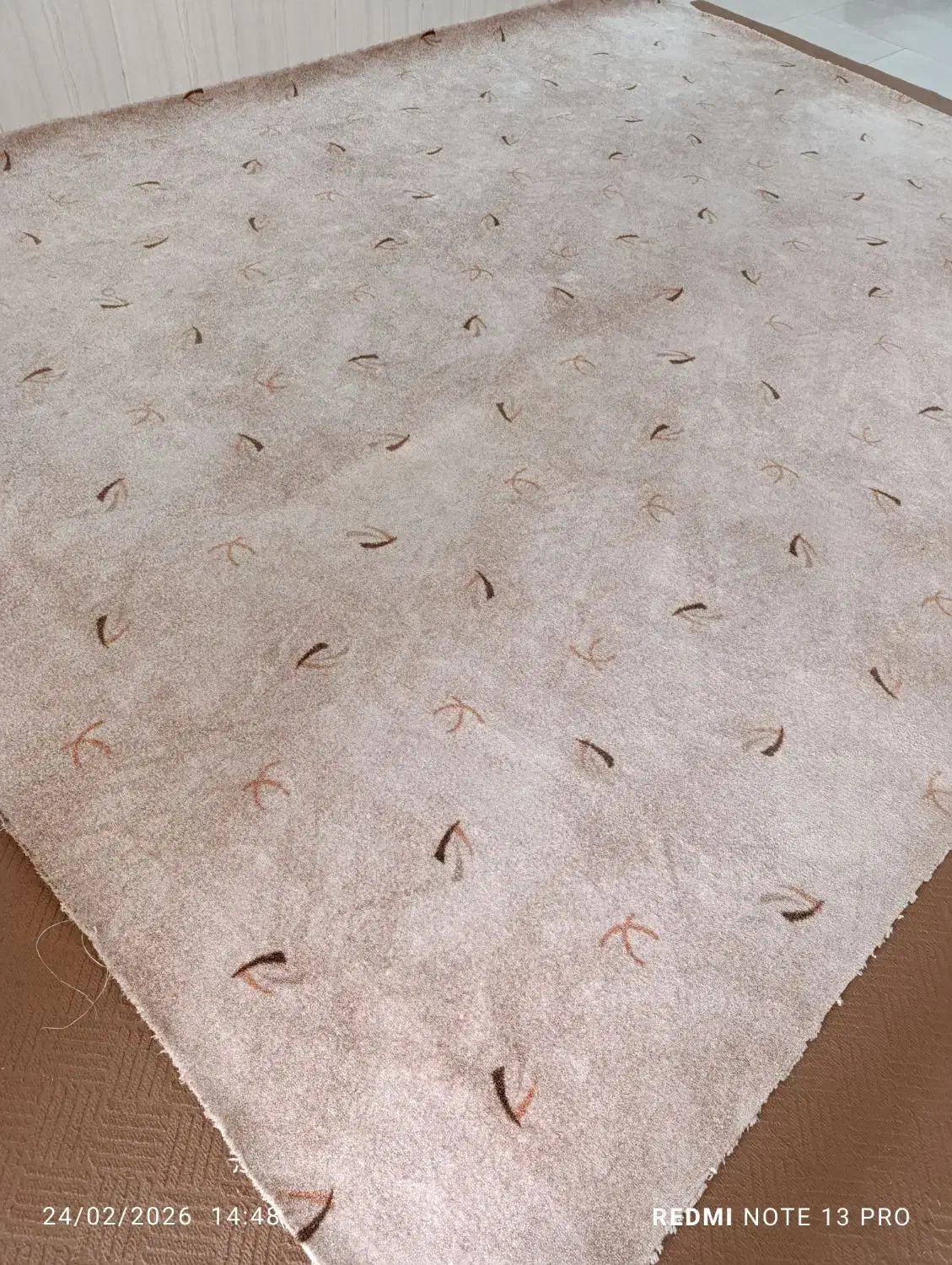 پلاز موکت|موکت|اهواز, گلدشت|دیوار