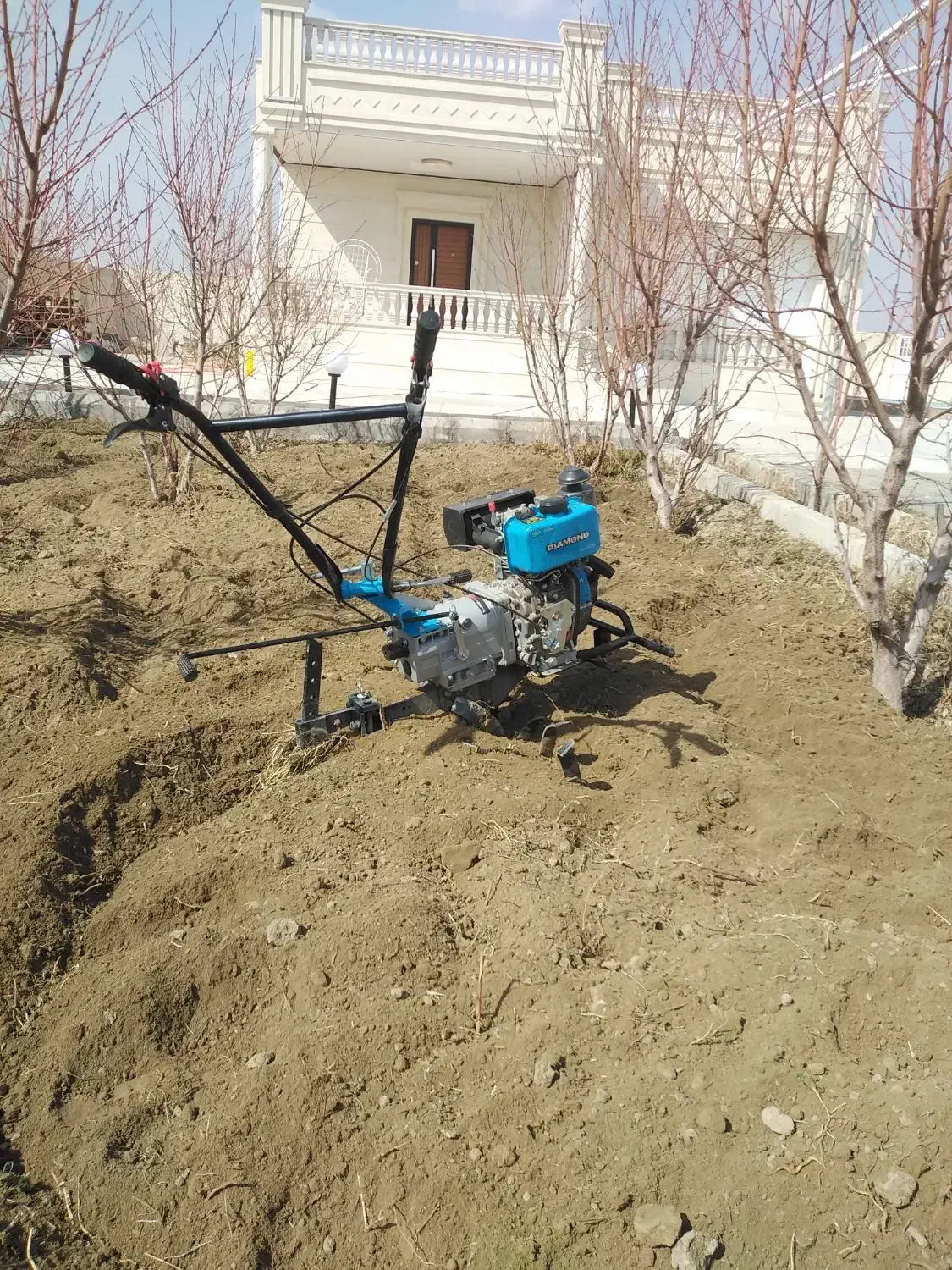 شخمزنی|خدمات باغبانی و درختکاری|ارومیه, |دیوار