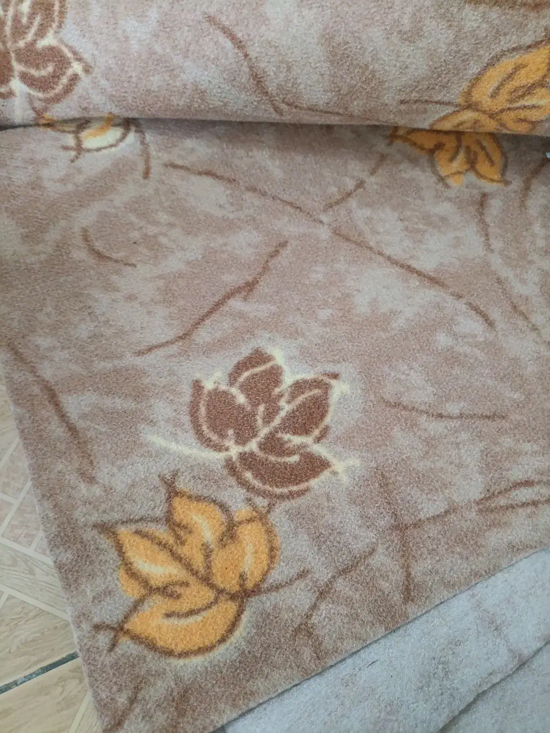 موکت|موکت|قم, علی آباد سعدگان|دیوار