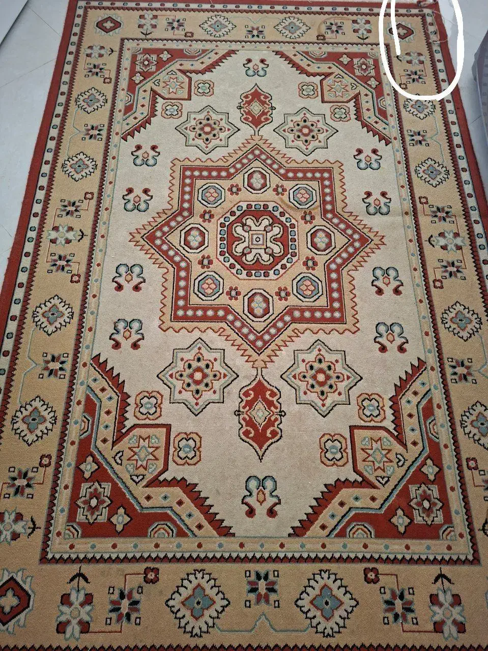 گلیم فرش اشپزخانه|گلیم، جاجیم، گبه|بیرجند, |دیوار