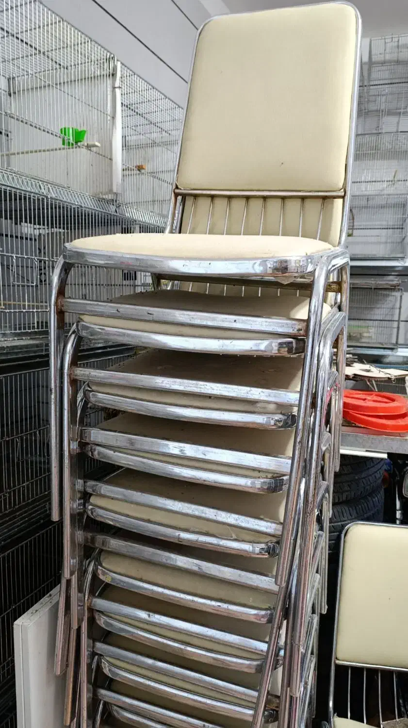 صندلی|میز و صندلی غذاخوری|قروه, |دیوار