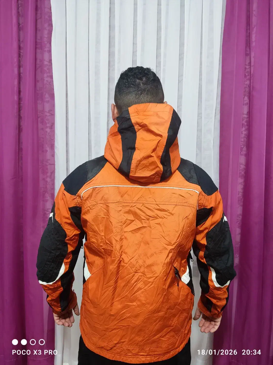 قناری|پرنده|بیرجند, |دیوار