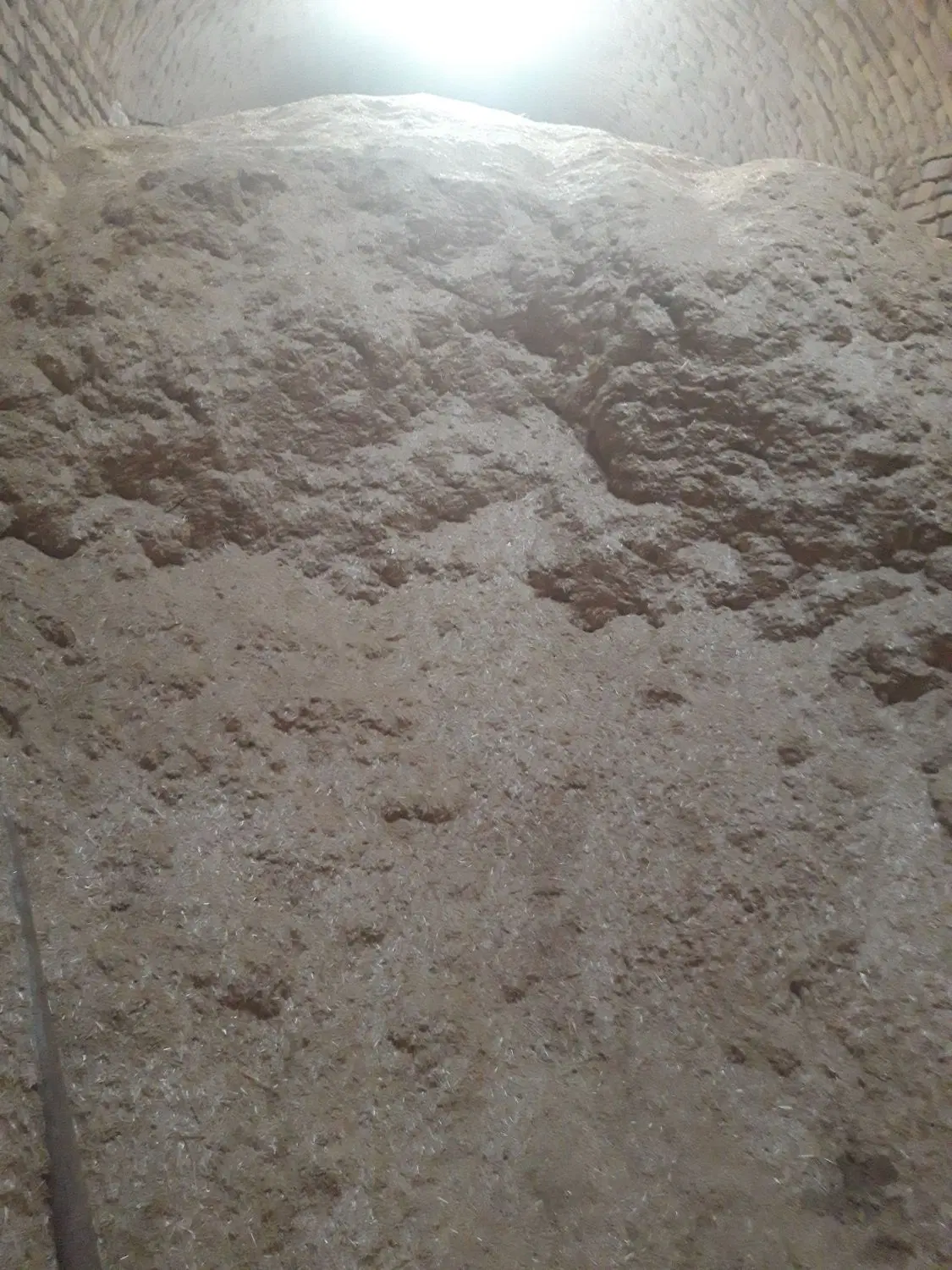 کاه گندم|عمده‌فروشی|صالح آباد (خراسان), |دیوار