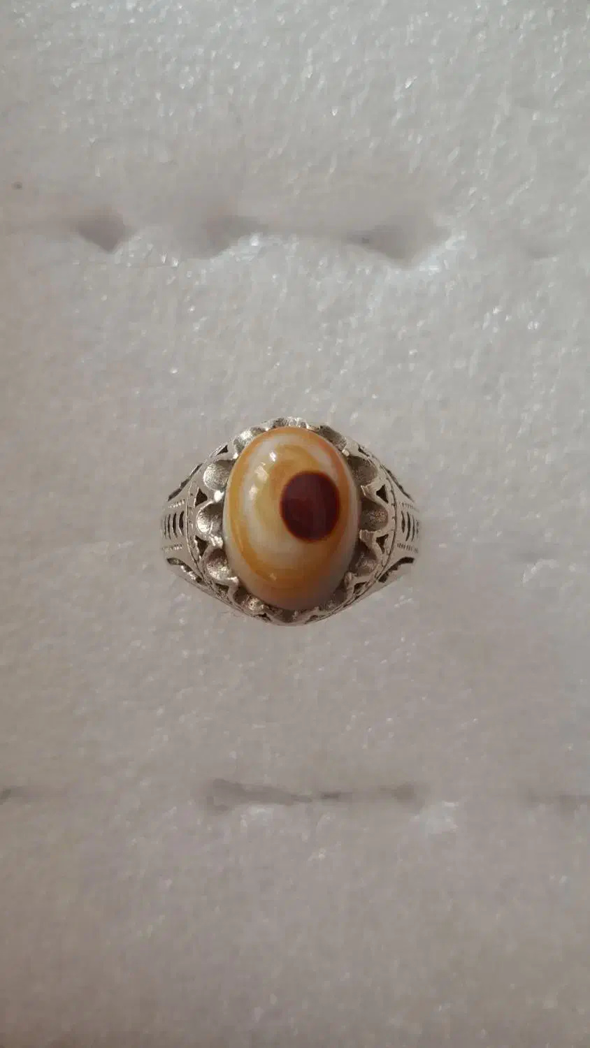 باباقوری قدیمی|کلکسیون اشیاء عتیقه|کرمانشاه, |دیوار