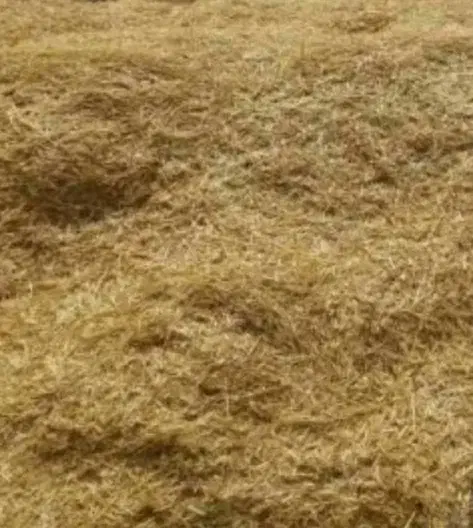 کاه فله|لوازم جانبی حیوانات|دره شهر, |دیوار