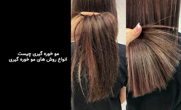 موخوره گیری|فعالیت داوطلبانه|قوچان, |دیوار