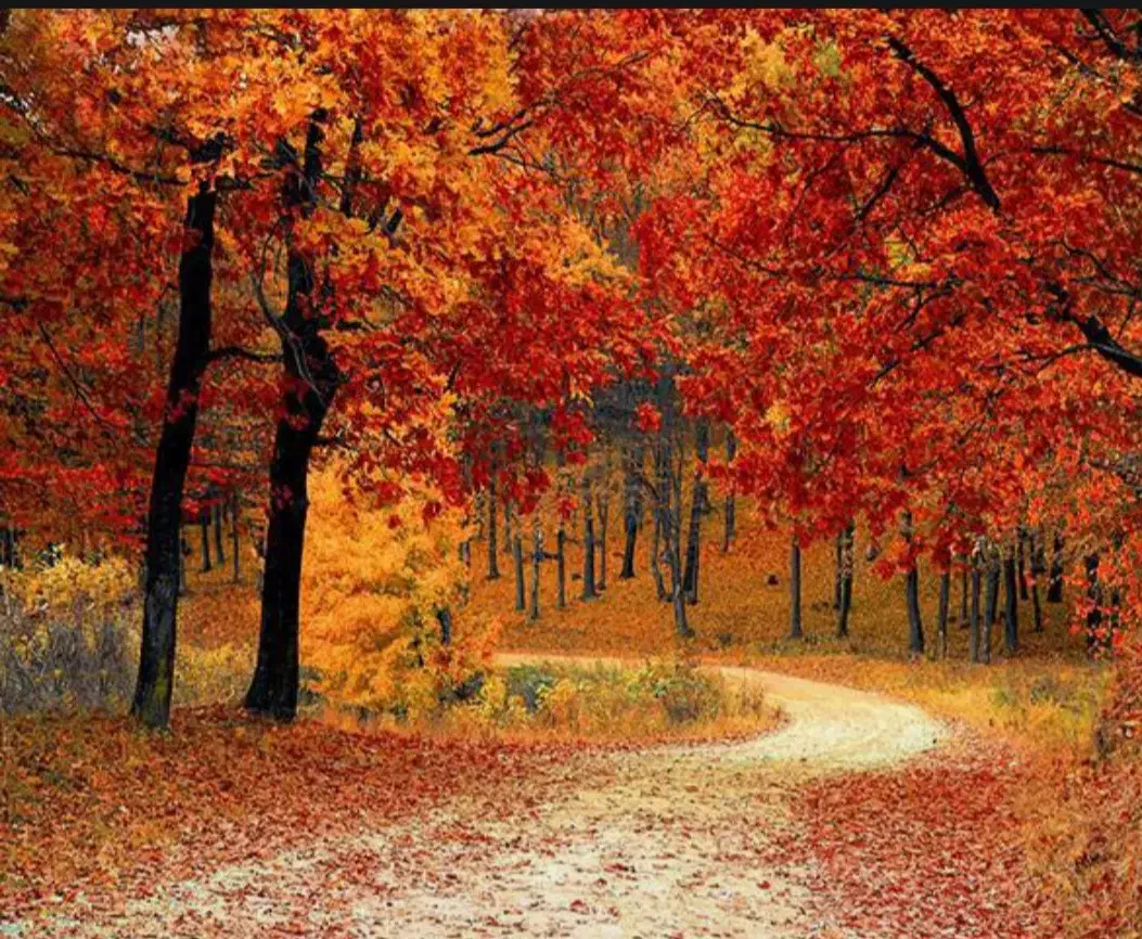 زمین کشاورزی دیم مرغروب|فروش دفتر صنعتی، کشاورزی، تجاری|باوله, |دیوار