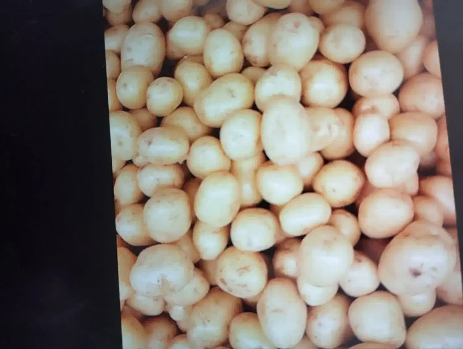 سیب زمینی|خوردنی و آشامیدنی|خاوه, |دیوار