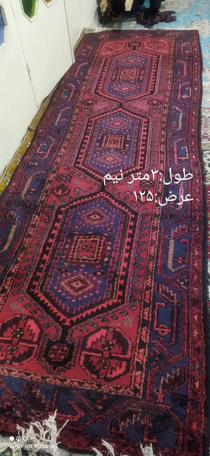 فرش قدیمی|فرش|زنجان, |دیوار