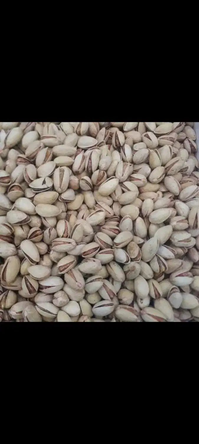 فروش عمده پسته|عمده‌فروشی|مشهد, هفده شهریور|دیوار