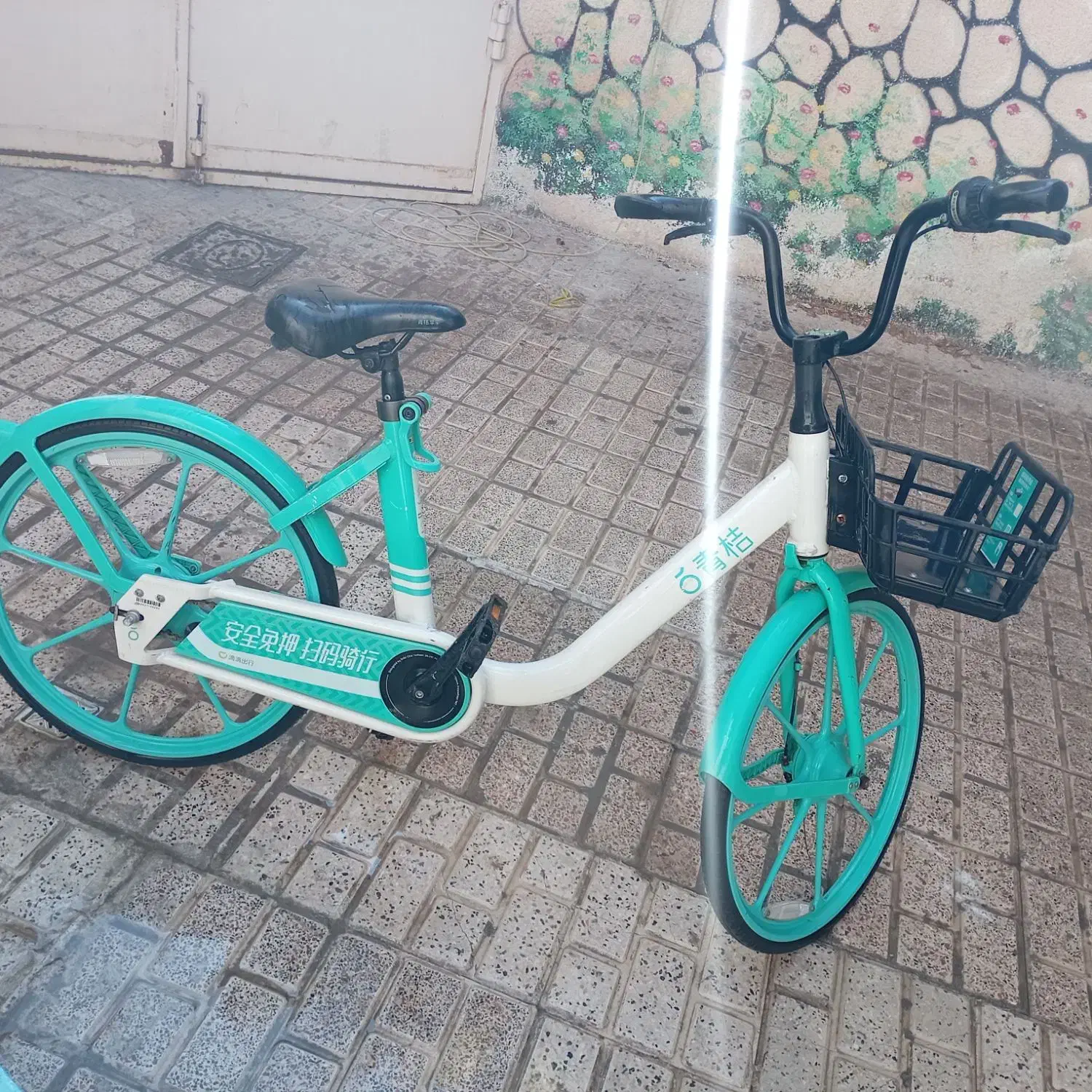 دوچرخه|دوچرخه، اسکیت، اسکوتر|مشهد, عبادی|دیوار