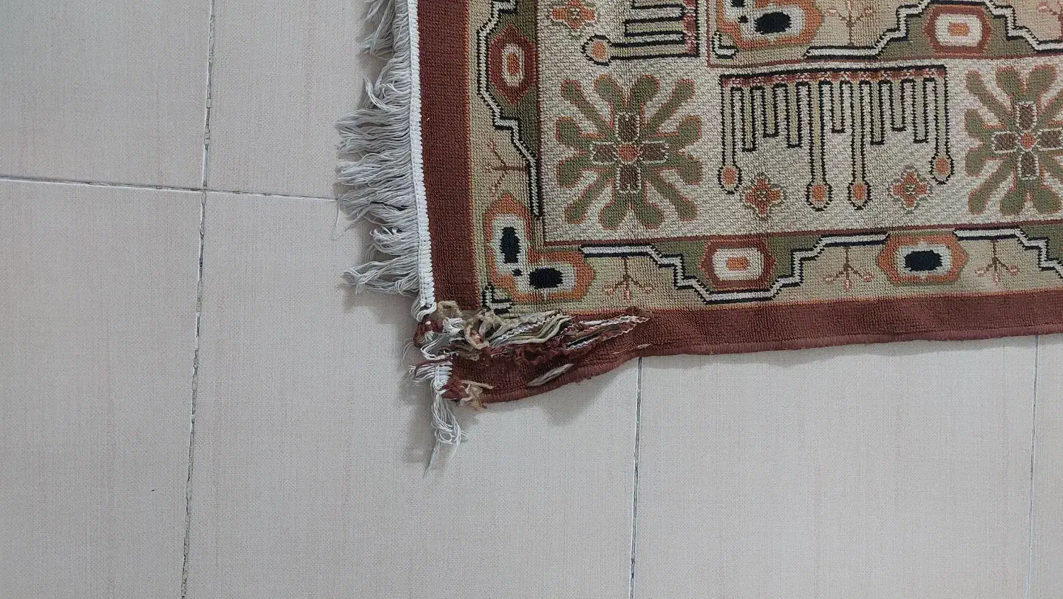 گلیم فرش ماشینی ۱۲ متری|فرش|فسا, |دیوار