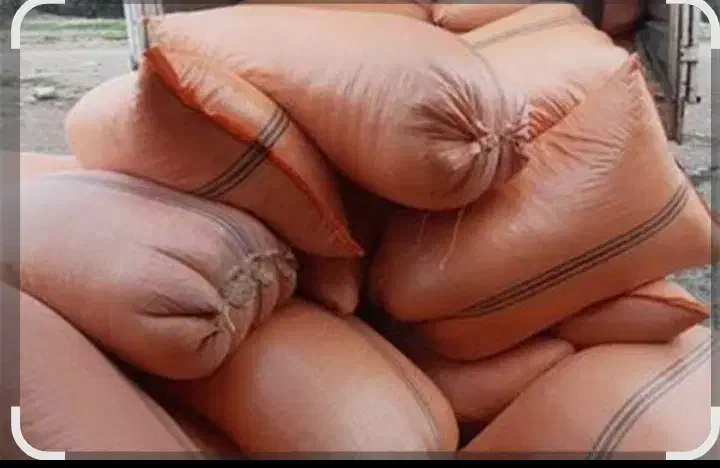 کوروشنه سامانی|خدمات باغبانی و درختکاری|مشگین شهر, |دیوار