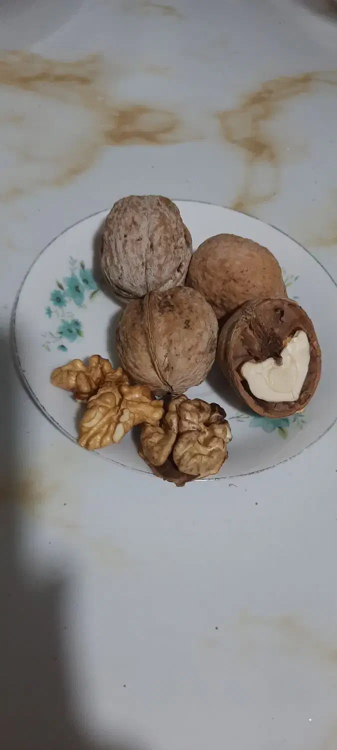 گردو درجه یک|خوردنی و آشامیدنی|شاهین دژ, |دیوار