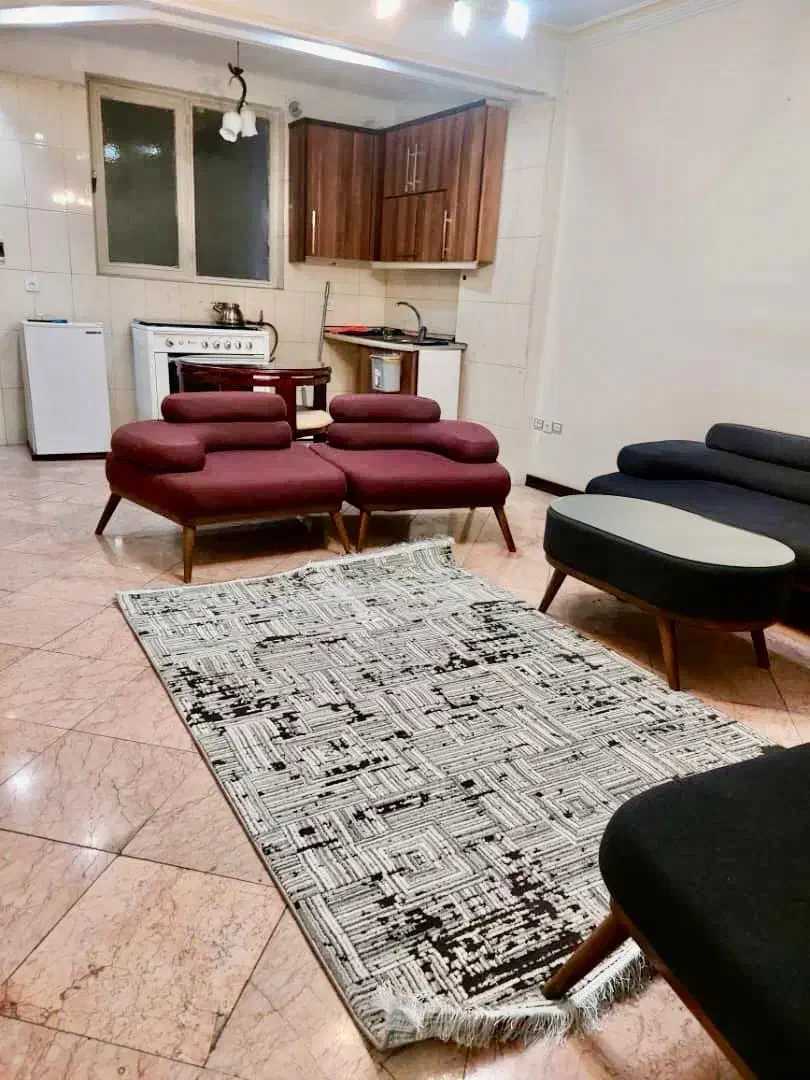 اجاره آپارتمان شیک اجاره کوتاه مدت|اجارهٔ کوتاهمدت آپارتمان و سوئیت|تهران, تهرانپارس غربی|دیوار