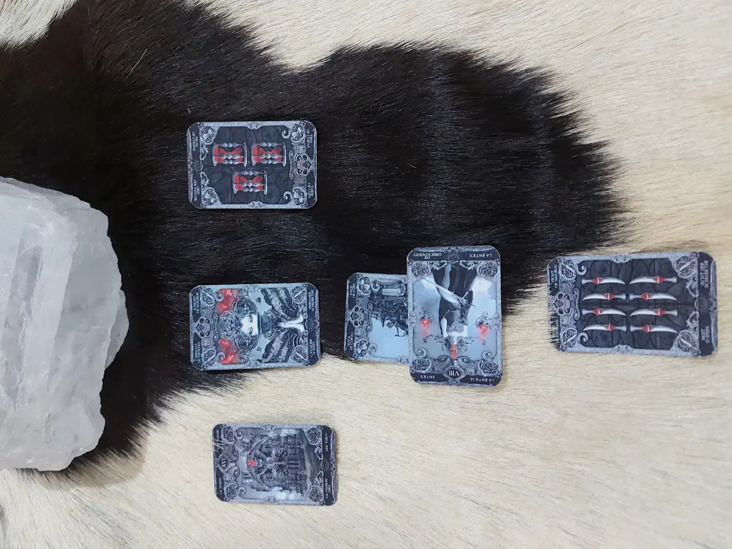 فال|خدمات پذیرایی، مراسم|گنبد کاووس, |دیوار