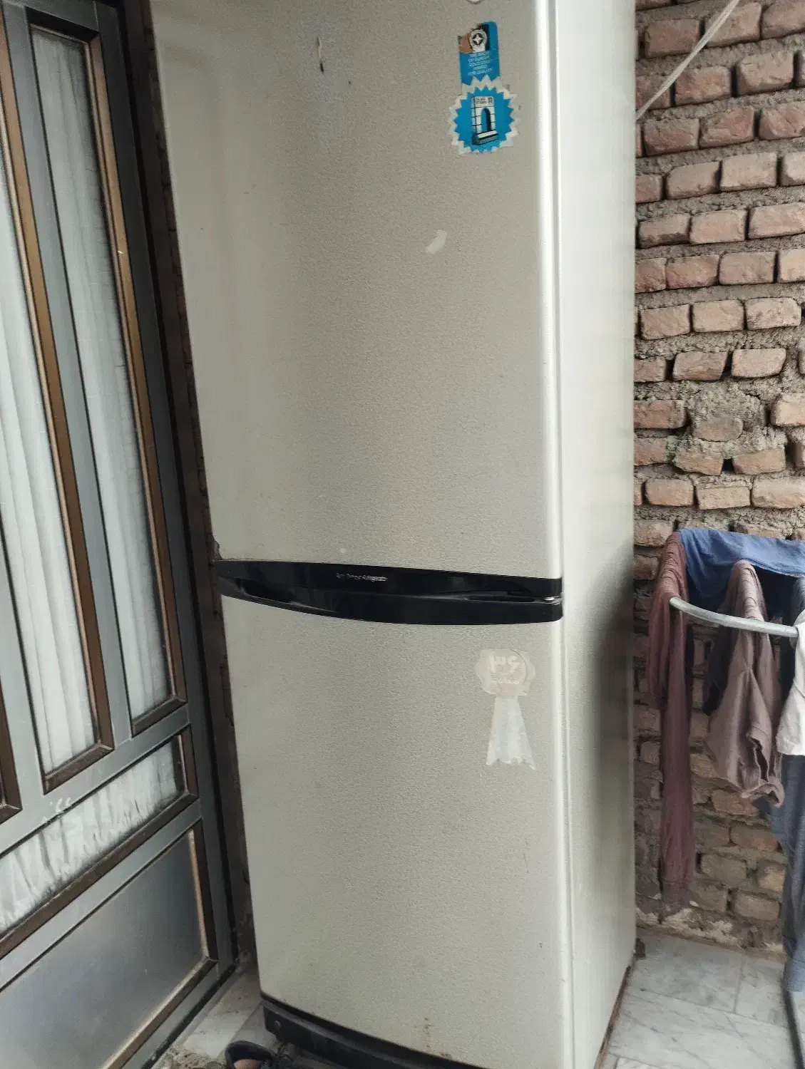 یخچال و فریزر روشن|یخچال و فریزر|بندر ترکمن, |دیوار