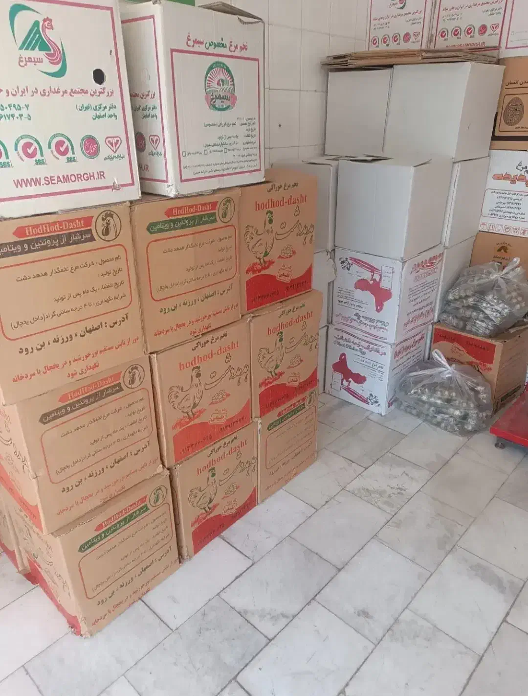 پخش عمده تخم مرغ مقدسی|عمده‌فروشی|تهران, دروس|دیوار