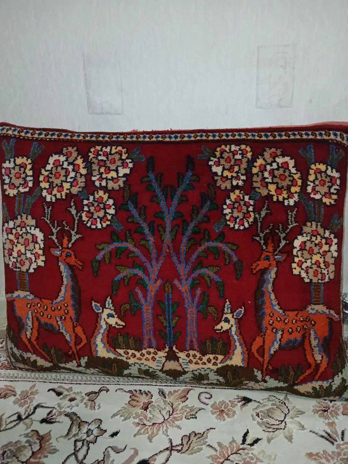 پشتی دستباف|پشتی|مشهد, دانشجو|دیوار