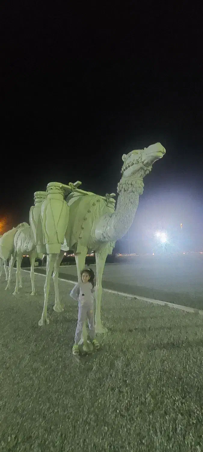 سیم کارت ۰۹۱۲۲۸۱۷۲۹۵|سیم‌کارت|قزوین, |دیوار