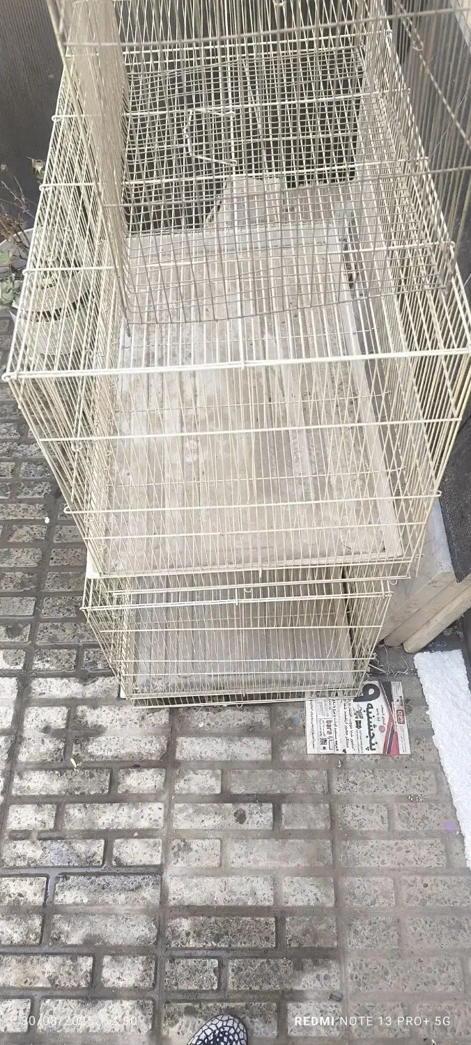 قفسه برای انواع پرندها مخصوصا عروس هلندی|لوازم جانبی حیوانات|باغستان, |دیوار