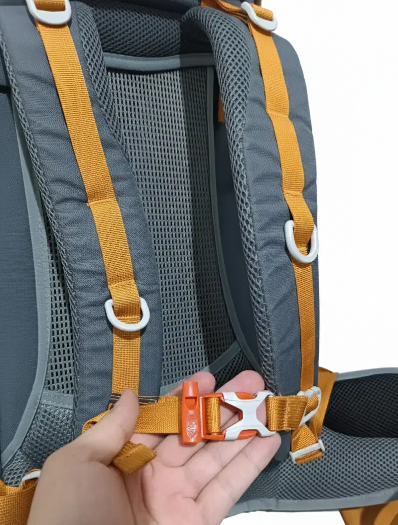 کوله پشتی کوهنوردی 45+5 پکنیو|کوهنوردی و کمپینگ|تربت‌حیدریه, آسایش|دیوار