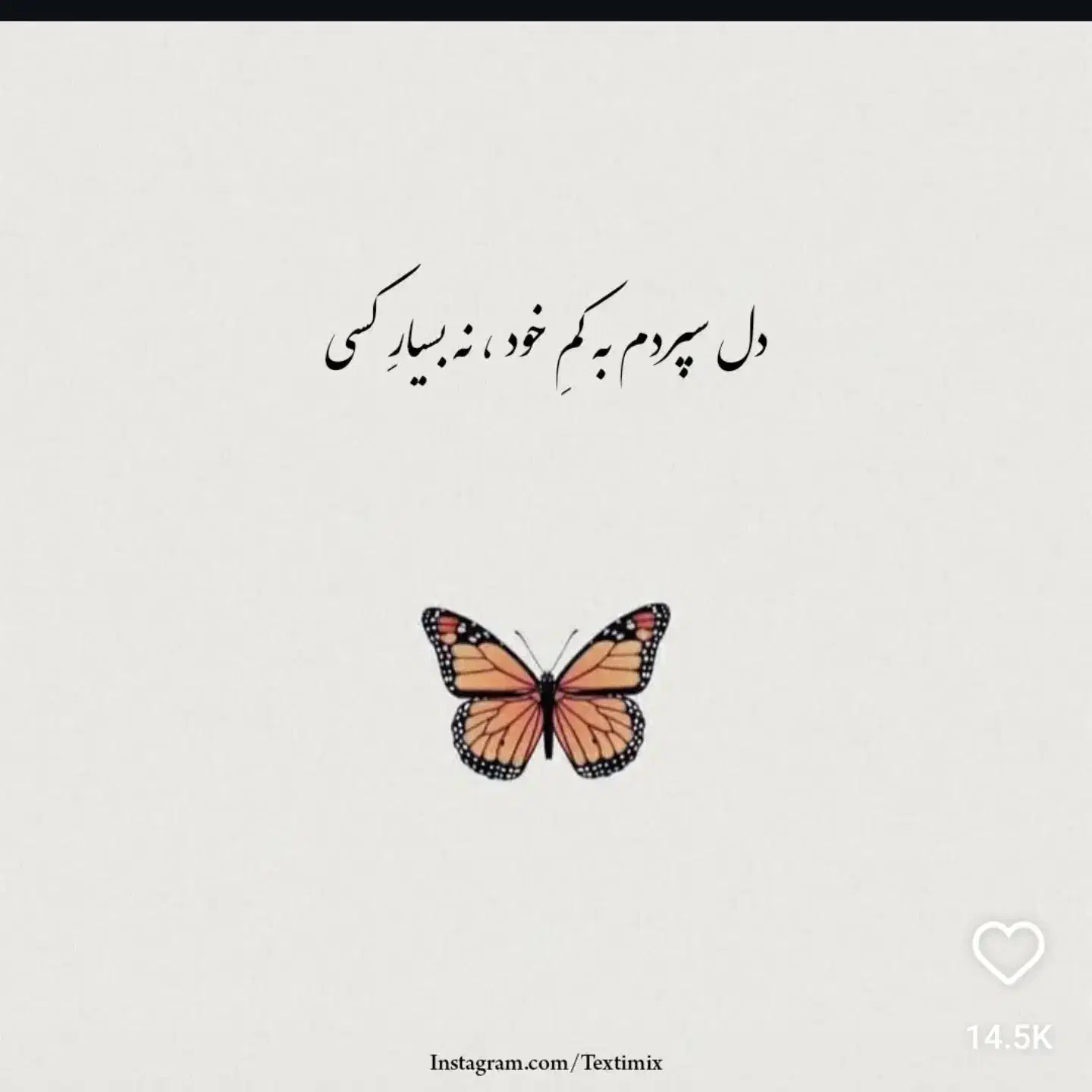 راهنمایی میخاستم|فعالیت داوطلبانه تحقیقاتی|قم, قلعه کامکار|دیوار