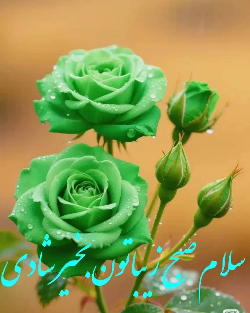 گوشی همراه پیدا شد|موبایل|قم, بنیاد|دیوار