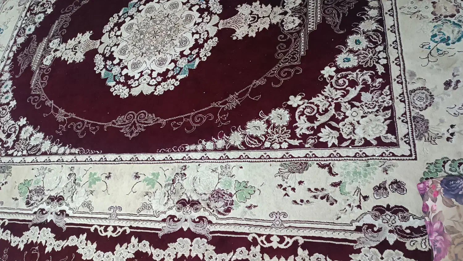 دوعدد فرش|فرش|تربت‌حیدریه, قائم|دیوار