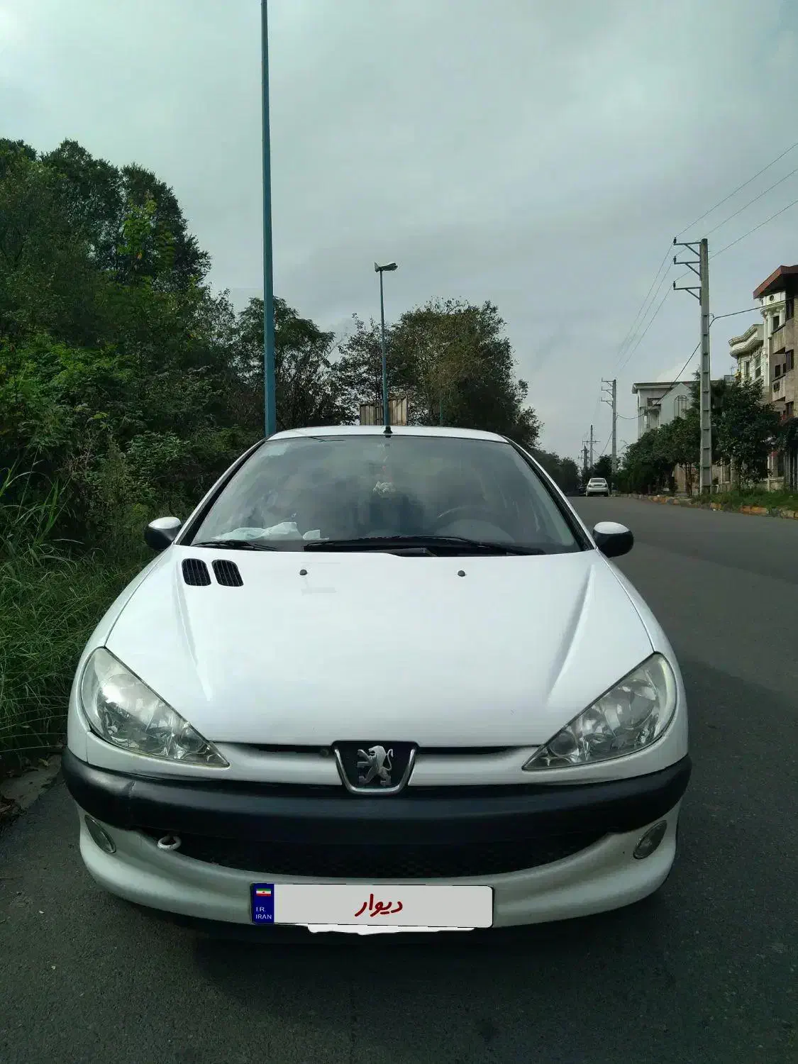 206 SD V8 tu5|خودرو سواری و وانت|لاهیجان, لیالستان|دیوار