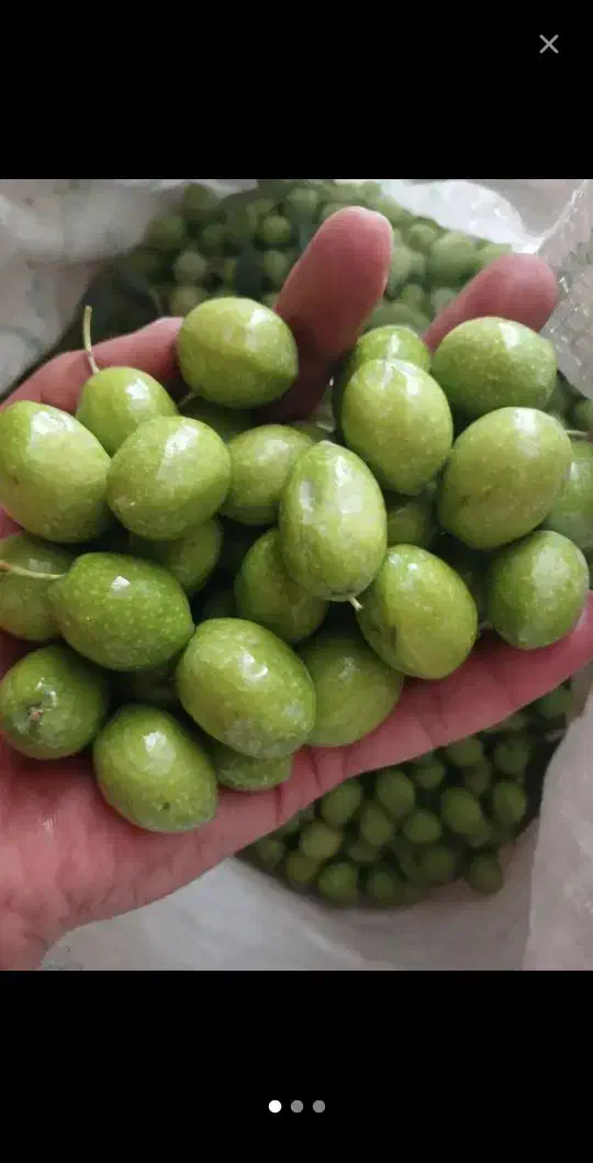 راهنمایی زیتون|خوردنی و آشامیدنی|قم, شهرک مهدیه|دیوار