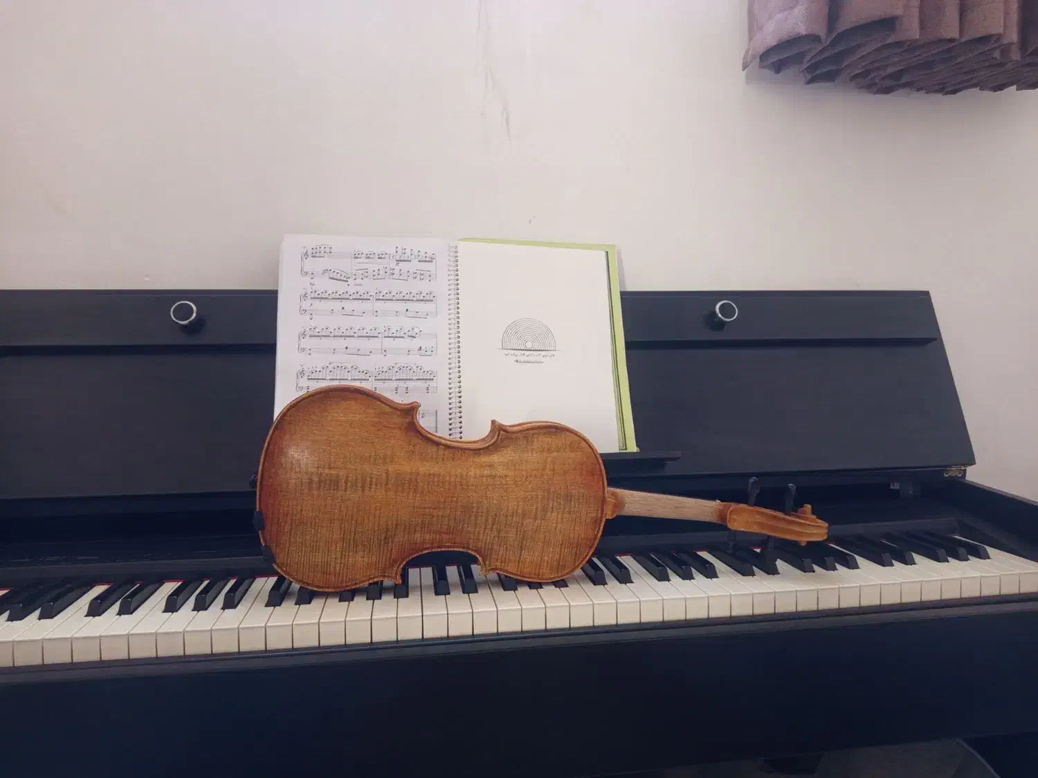 ساخت ویولن های مشقی تا حرفه ای|ویولن|استهبان, |دیوار