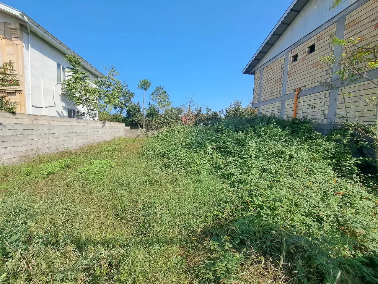 زمین۲۰۰مترسندتکبرگ،روستای قروق|فروش زمین و ملک کلنگی|تالش, هشتپر|دیوار