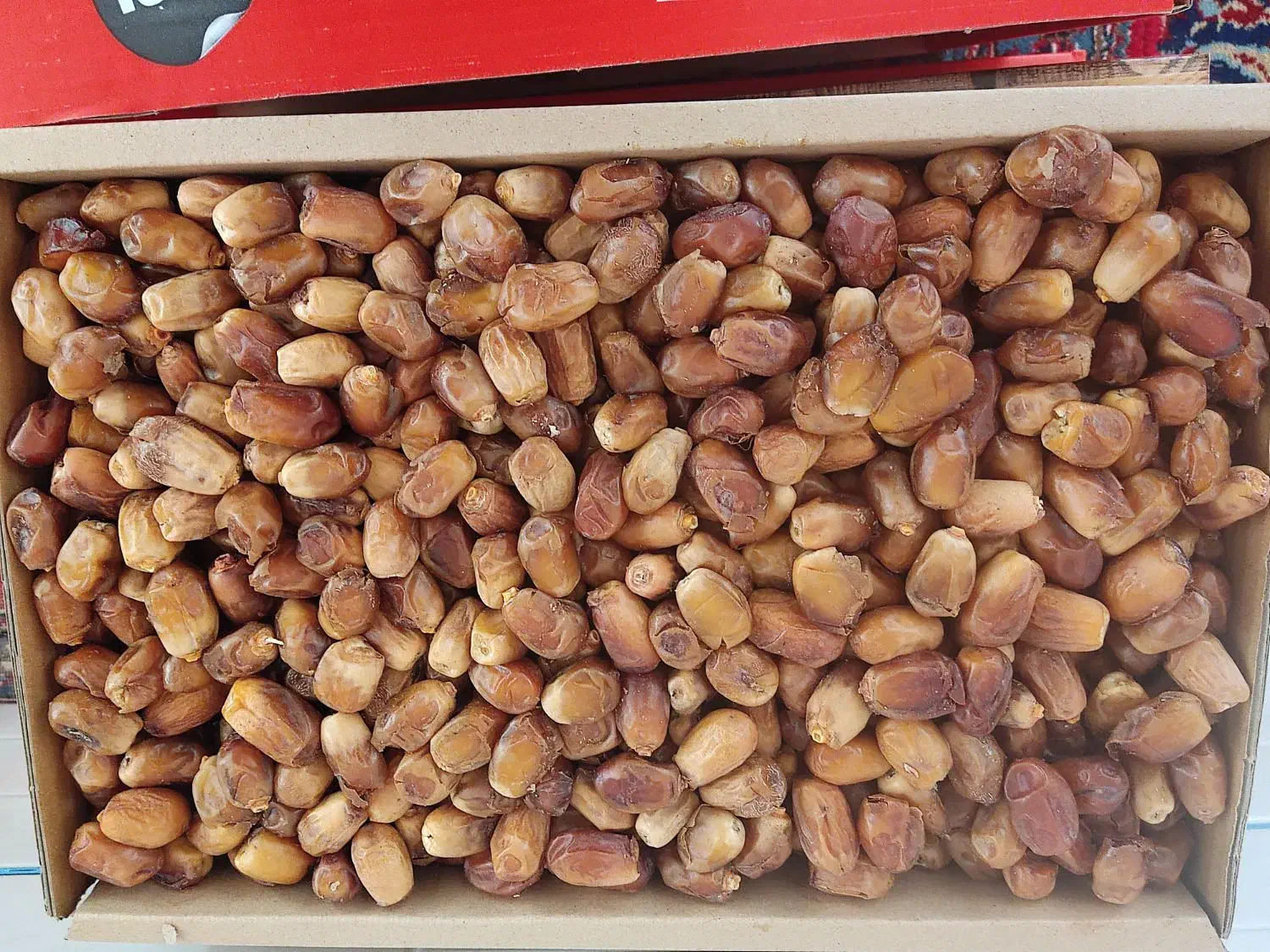 قصب زاهدی درجه دو|خوردنی و آشامیدنی|بوشکان, |دیوار