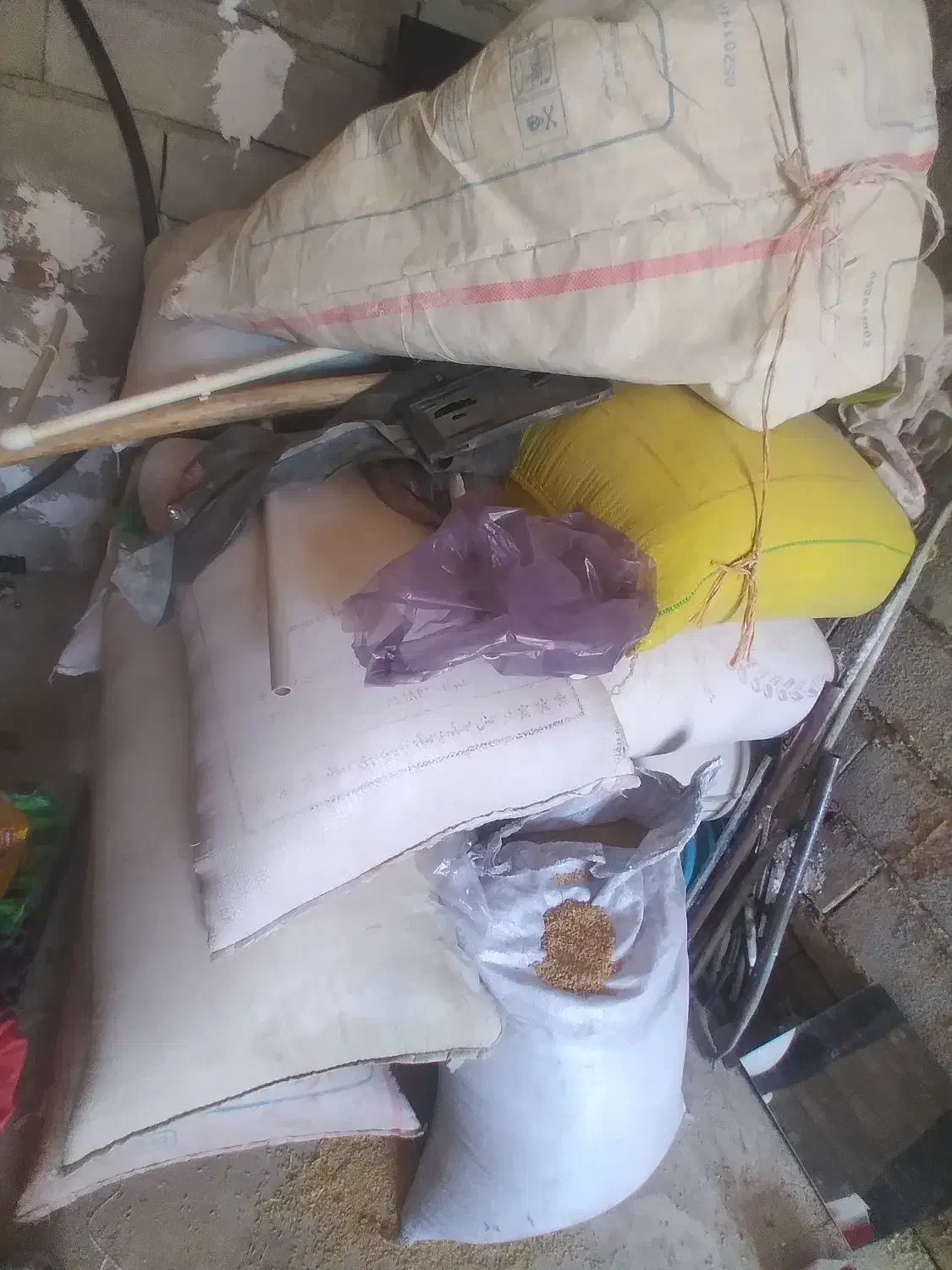 گتدم تمیز|خوردنی و آشامیدنی|خاوه, |دیوار