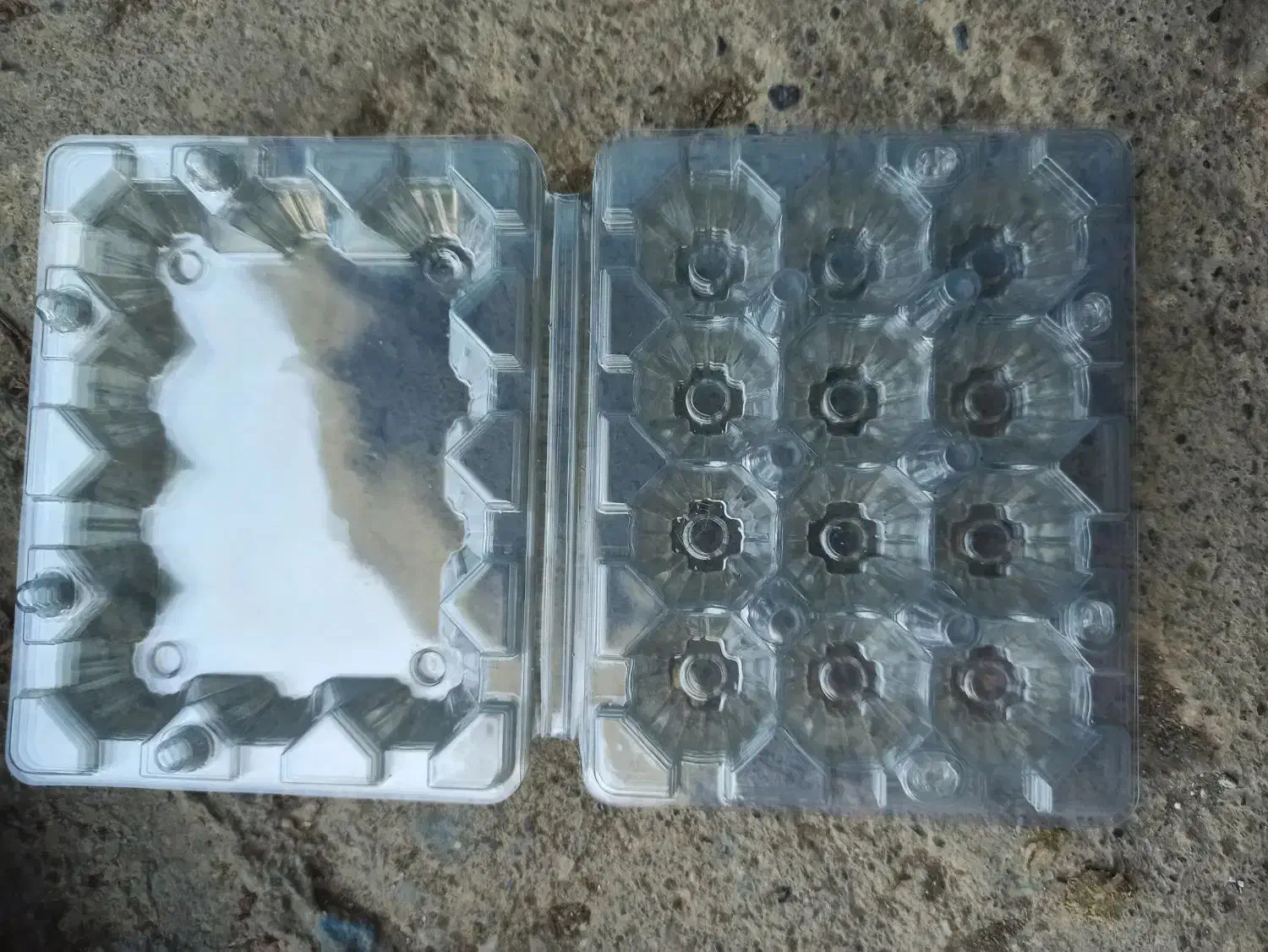 شانه تخم بلدرچین 12تایی|لوازم جانبی حیوانات|تنکابن, |دیوار