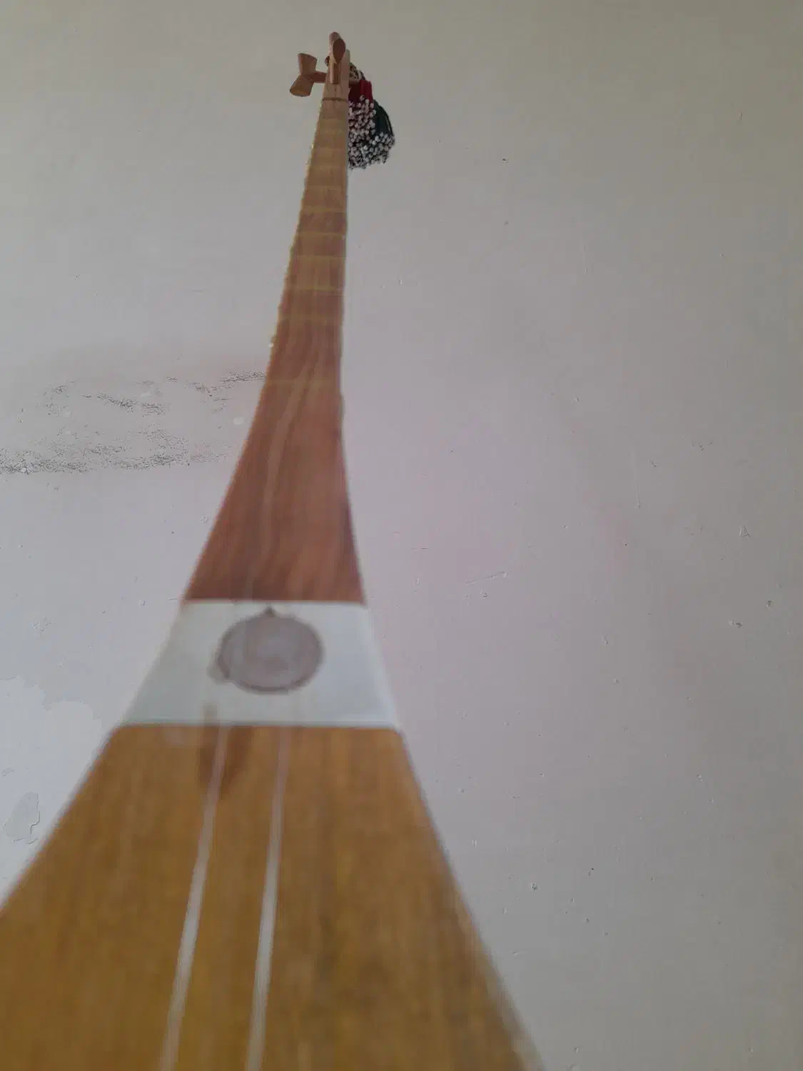 دوتار خراسان شمالی درجه یک|سازهای سنتی|بجنورد, |دیوار