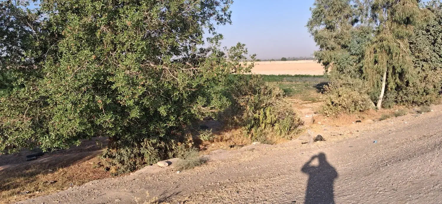 فروش 5000 متر زمین جنب اتوبان خوش قطعه|فروش دفتر صنعتی، کشاورزی، تجاری|اندیمشک, |دیوار