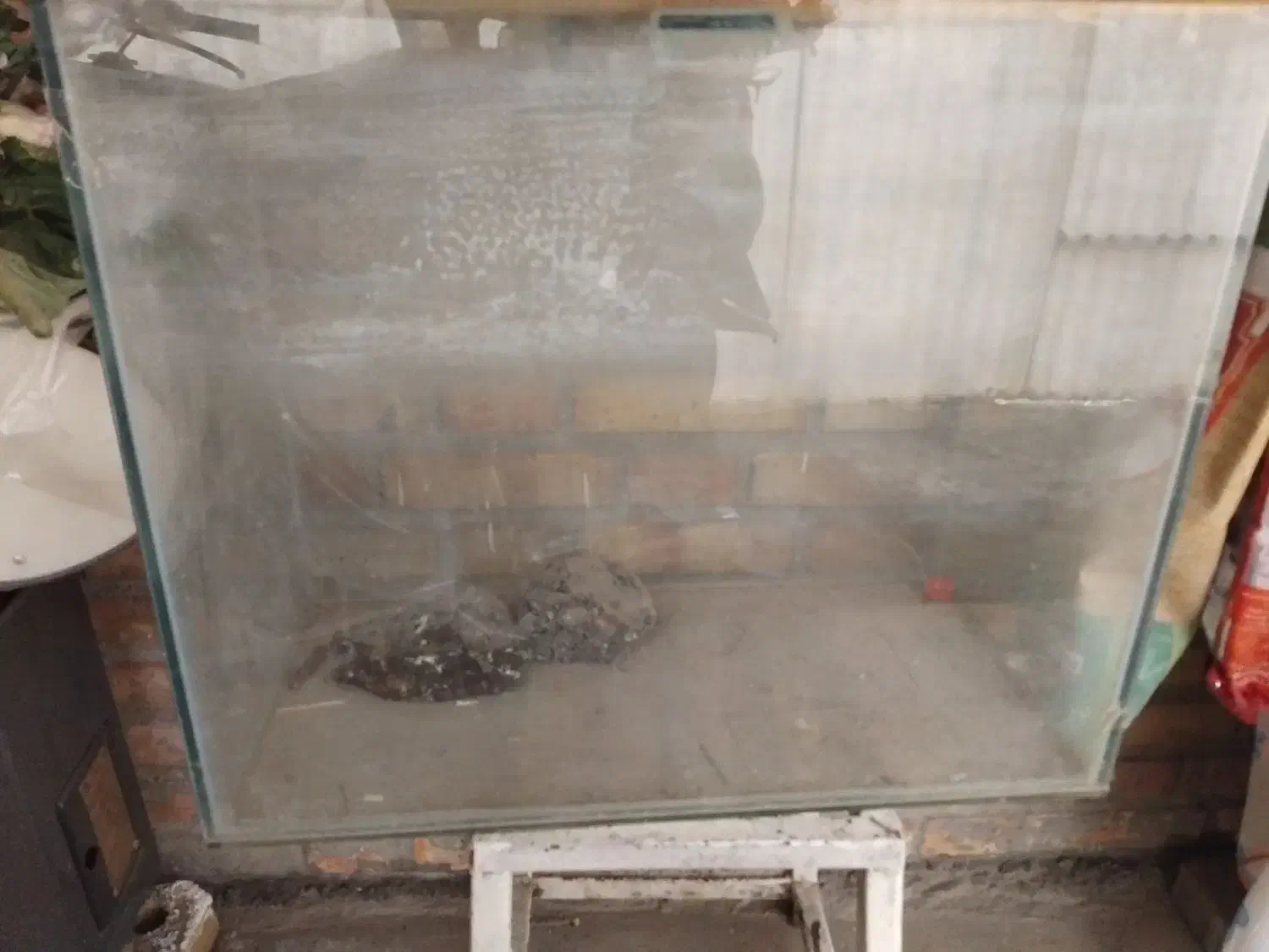 آکواریوم|ماهی|مشهد, محمدآباد|دیوار