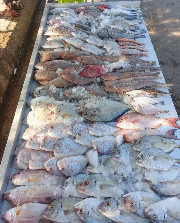 نیازمند حسابدار خانم|استخدام بازاریابی و فروش|بوشهر, |دیوار