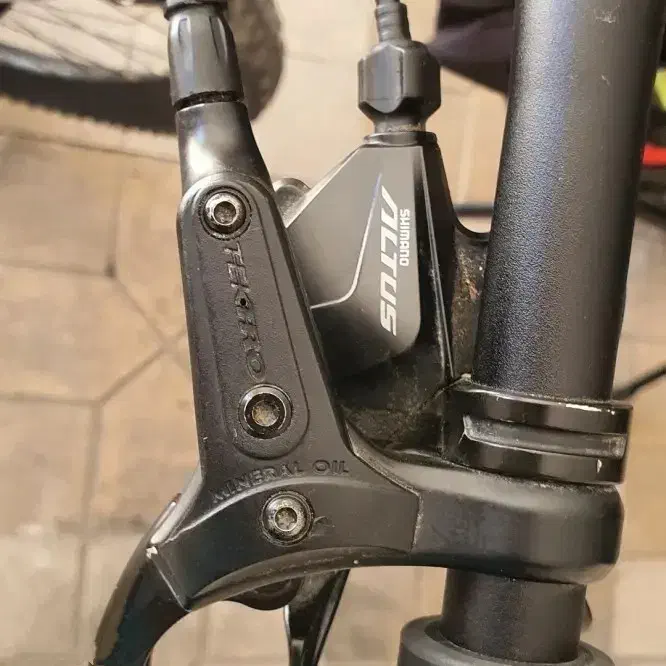 ۲چرخه|دوچرخه، اسکیت، اسکوتر|تربتحیدریه, هاشمینژاد|دیوار