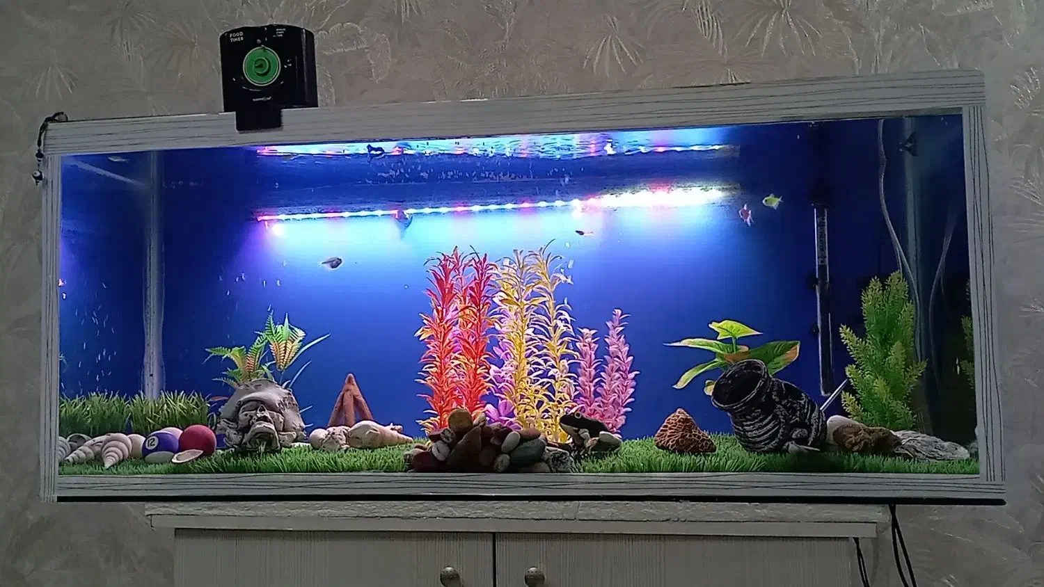 اکواریوم|ماهی|رباطکریم, رباطکریم|دیوار