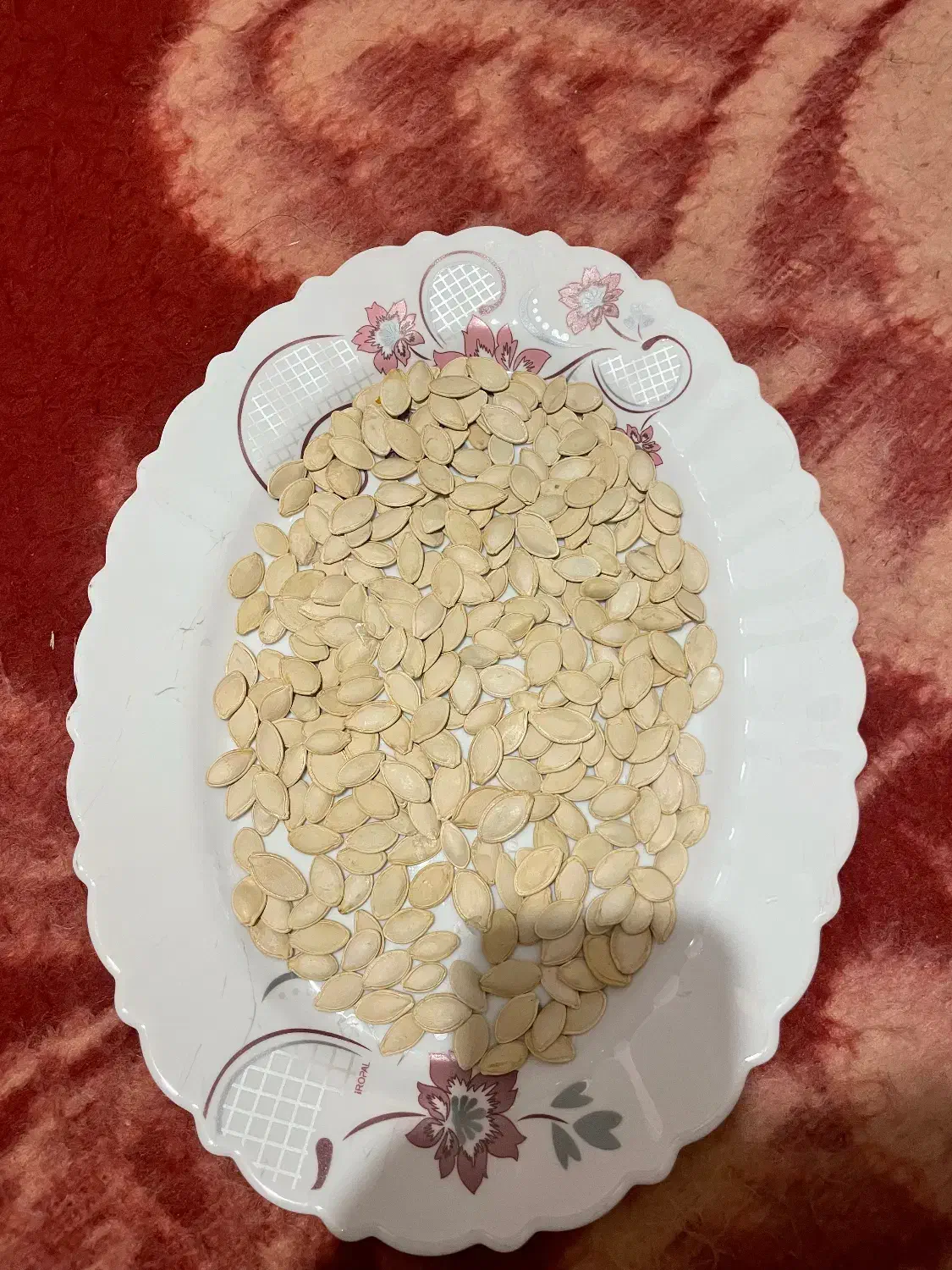 فروش تخمه کدو|عمده‌فروشی|بهمن صغاد, |دیوار