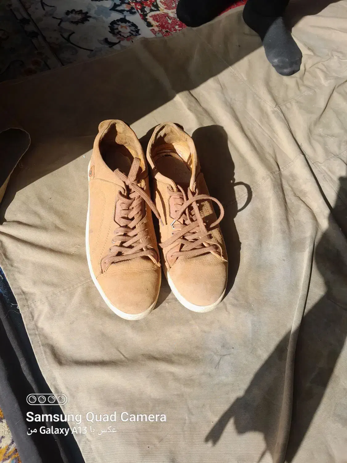 کفش مردانه|کیف، کفش، کمربند|تربت‌حیدریه, قائم|دیوار