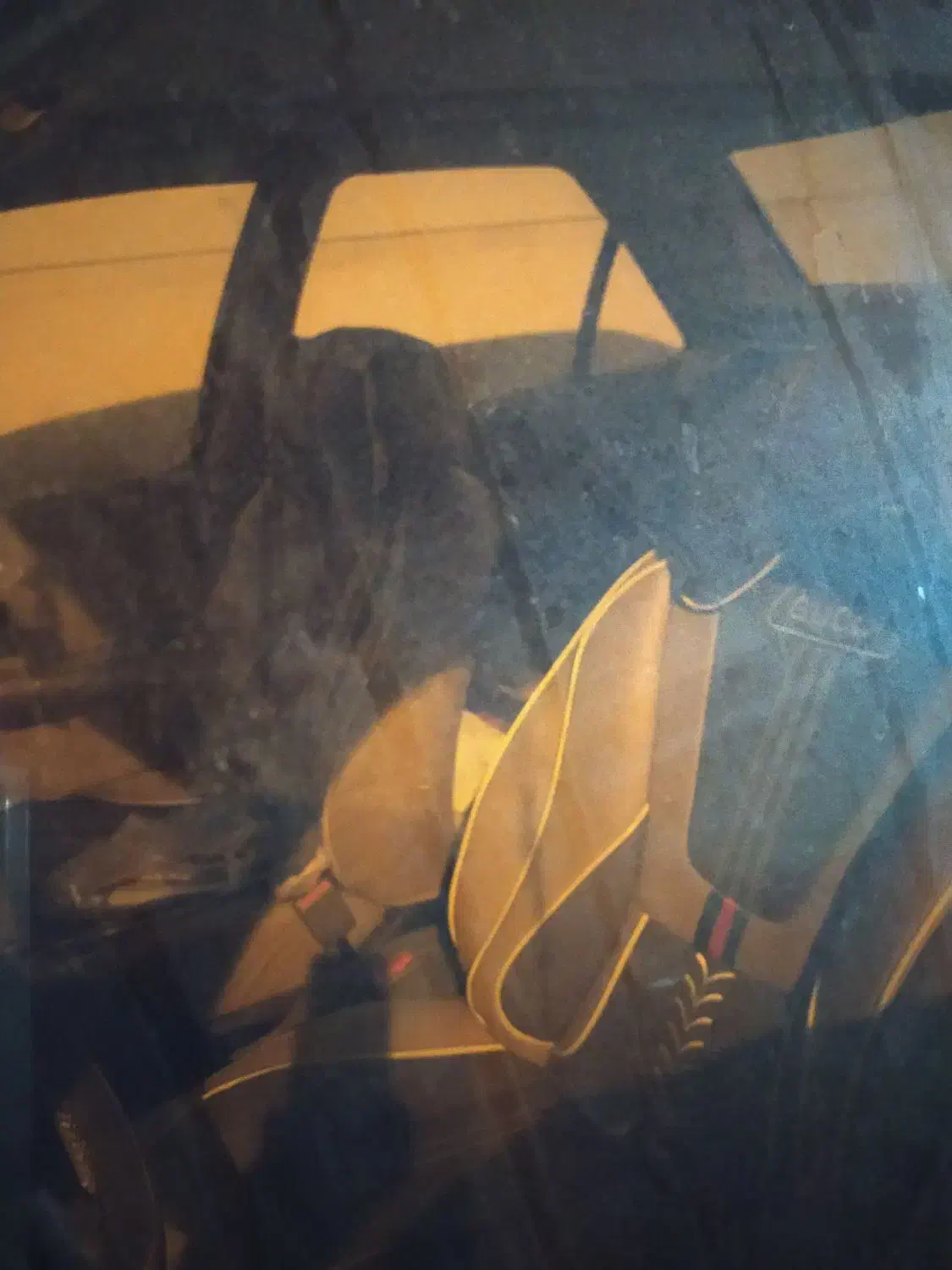 پژو 89 شاسی پلمپ درحد|خودرو سواری و وانت|بیرجند, |دیوار