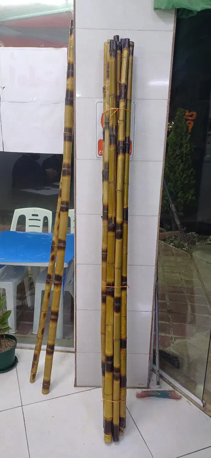 نی بامبو سند پلاست|عمدهفروشی|شلمان, |دیوار