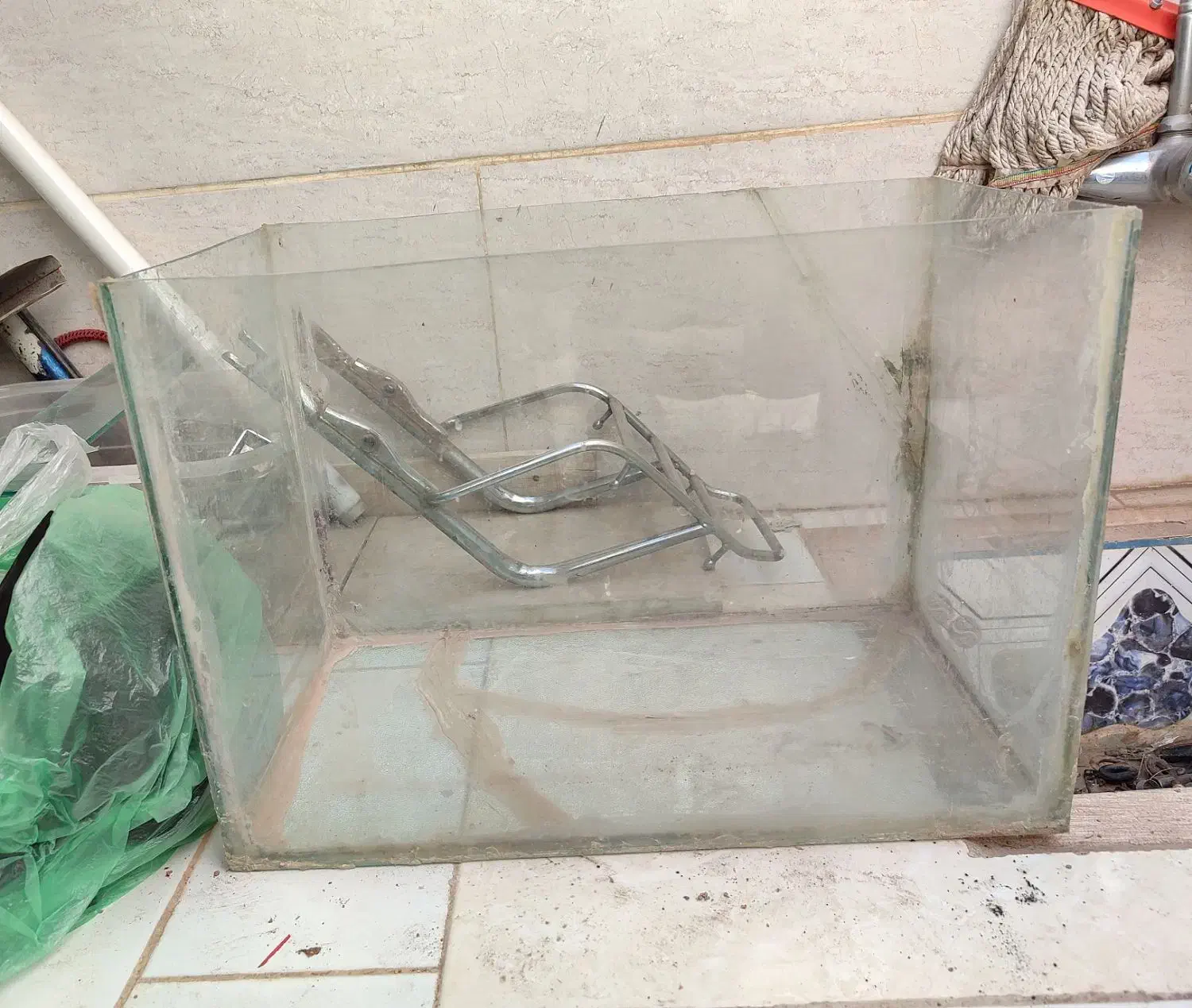 آکواریوم سالم به همراه سنگها|ماهی|زارچ, |دیوار