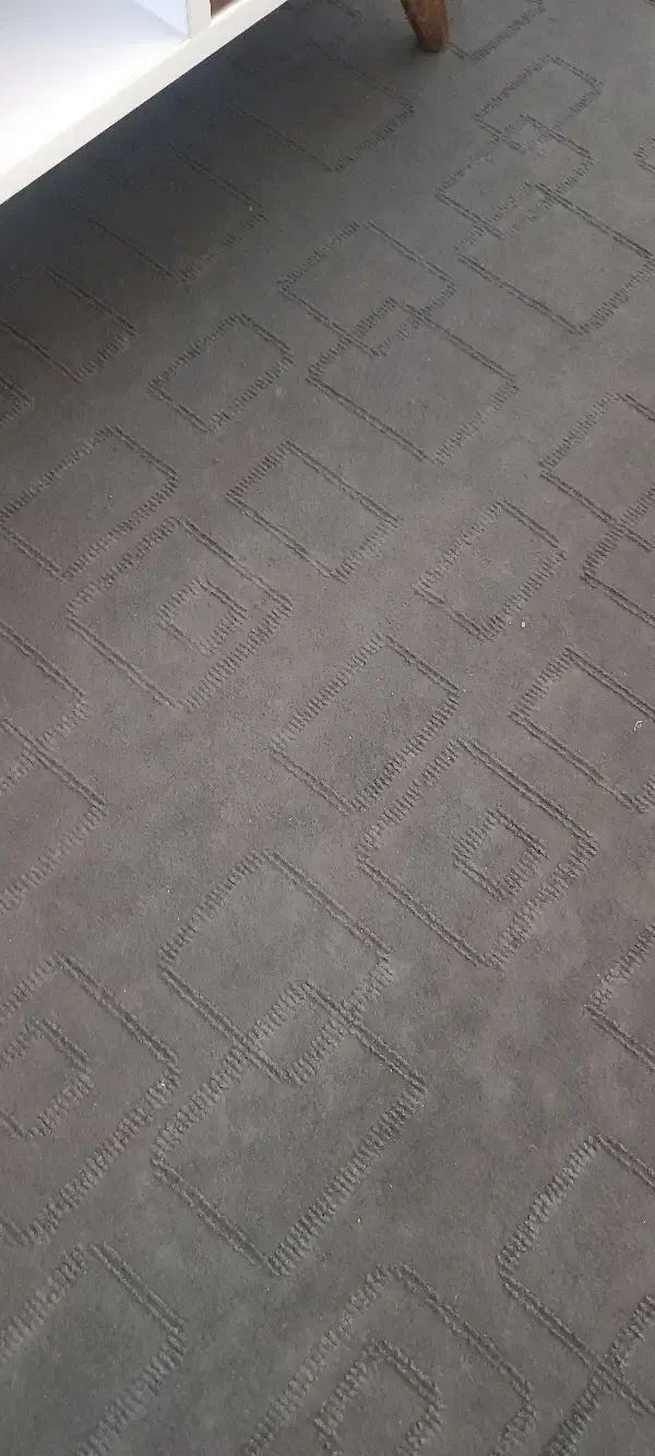 موکت طوسی|موکت|همدان, |دیوار