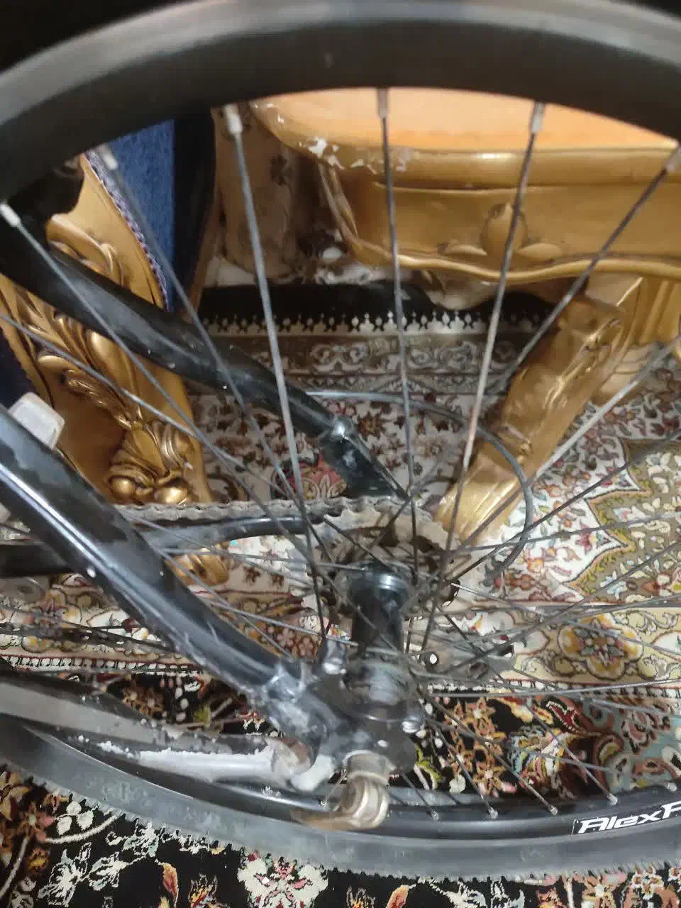 بهترین مدل|دوچرخه، اسکیت، اسکوتر|زابل, |دیوار