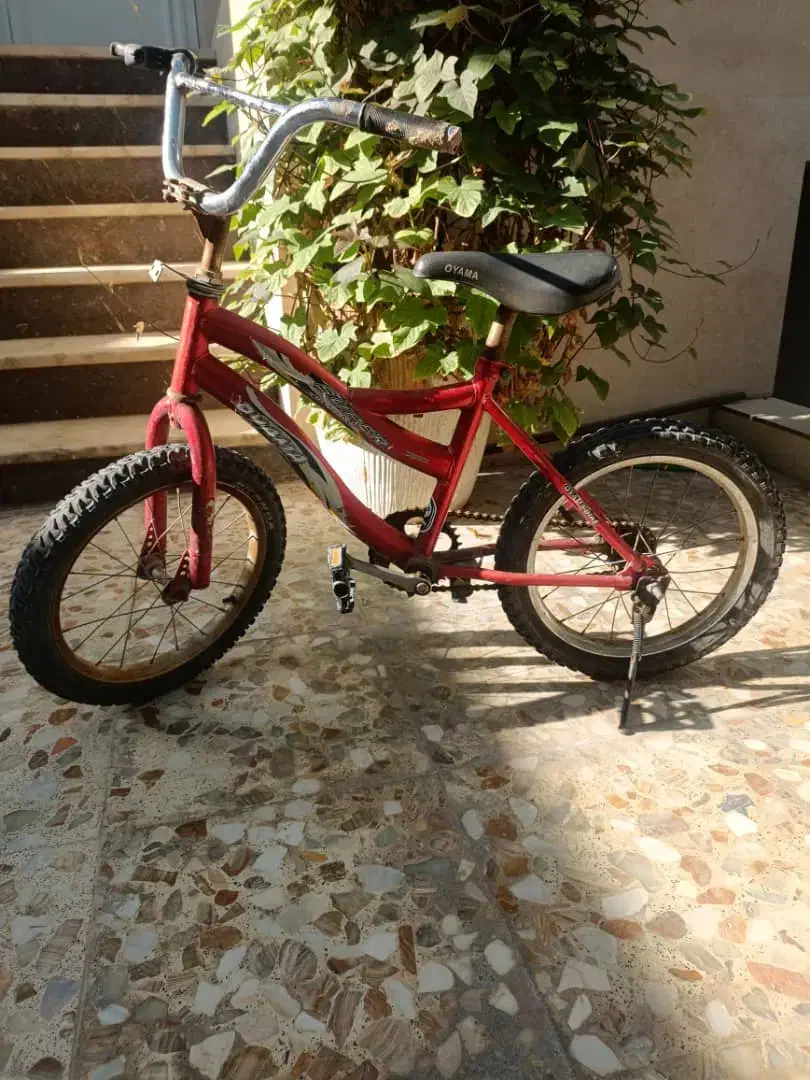 دوچرخه|دوچرخه، اسکیت، اسکوتر|برازجان, |دیوار